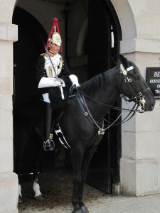 horse guard