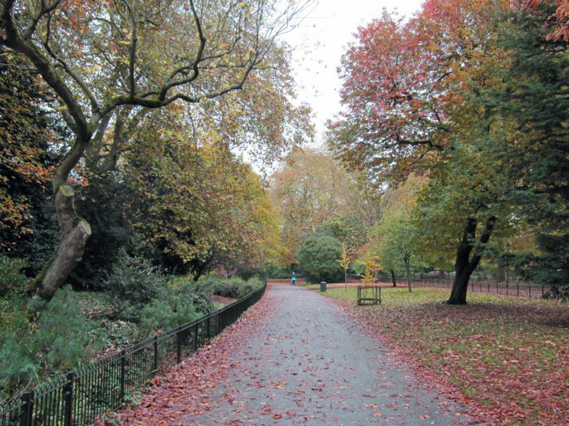 battersea park in autumn