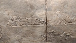 bassorilievi assiri al British Museum