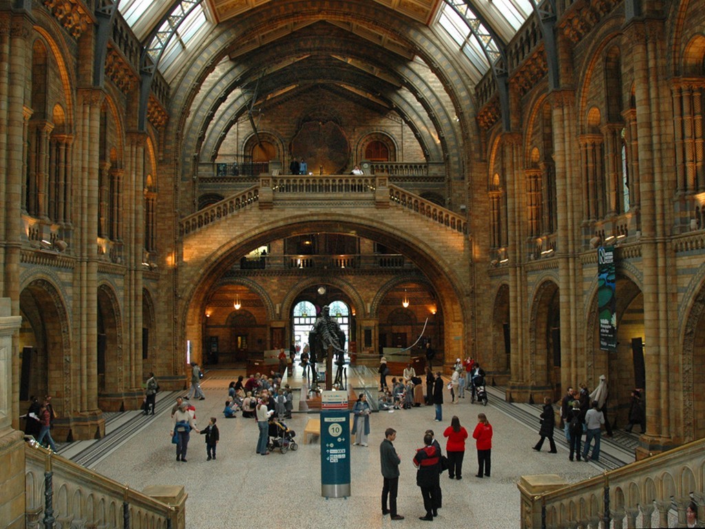 natural history museum